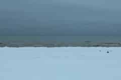 PXL_20260118_131447423