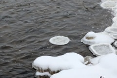PXL_20260118_164855581