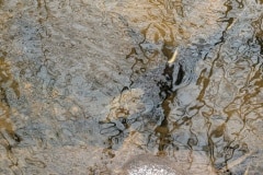 PXL_20260118_170527264