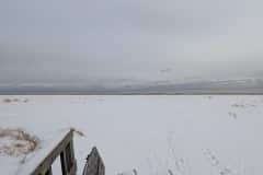 PXL_20260118_202618764