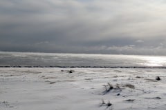PXL_20260119_154544251